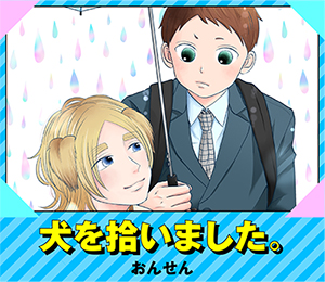 犬を拾いました。